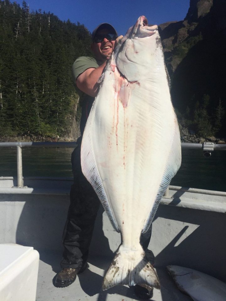 Halibut Facts Why Are Halibut So Big Catch Alaskan Halibut